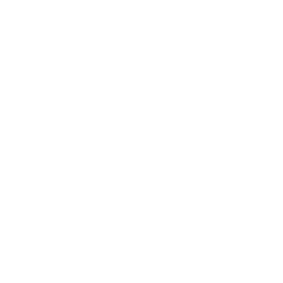 Anfani Logo